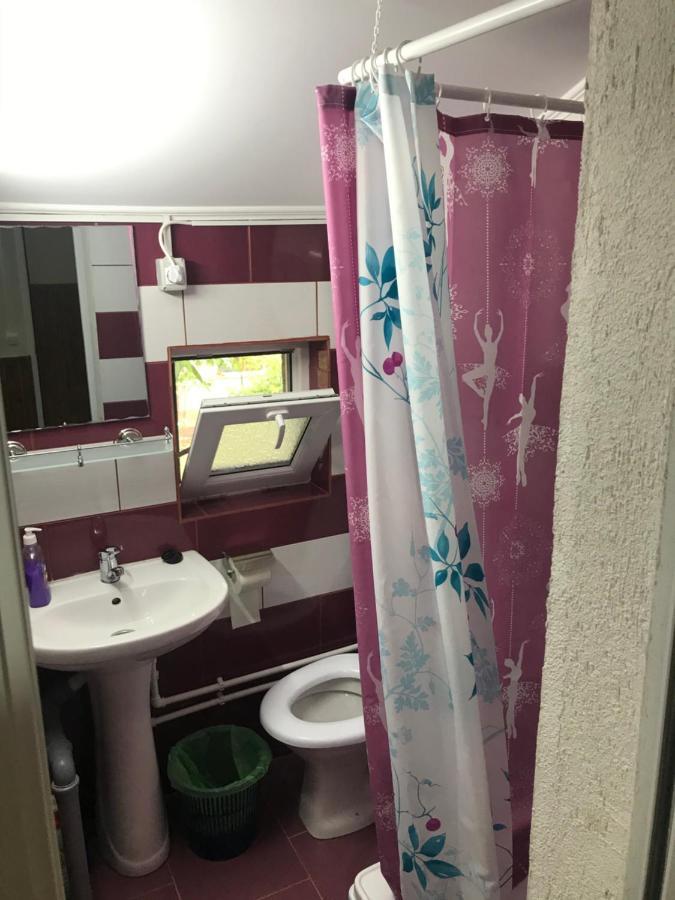 Hotel Casa Radu Tulcea Exteriér fotografie