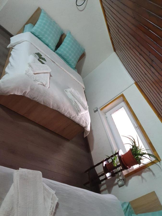 Hotel Casa Radu Tulcea Exteriér fotografie